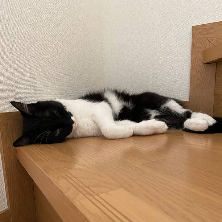 53b217d3 3c39 4c37 8dc4 b104392473b2 1598788586833