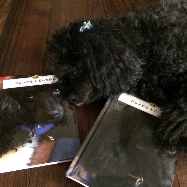 53b22870 fcea 4575 850e d1e5903bcacd 1531283878814