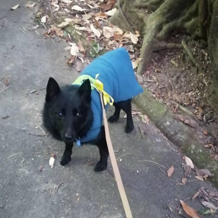 53b2748a f369 4107 8cc7 cbe569863e04 1641247293969