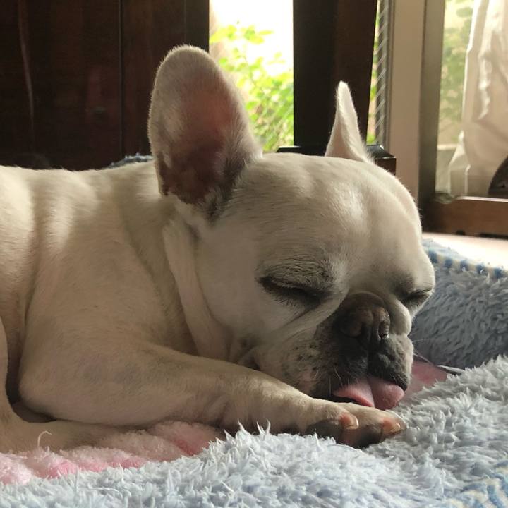 53b27fba a1e2 4678 8127 ba7da9242055 1625384026899