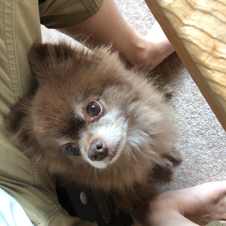 53b27ff5 0fcc 4c33 9a52 760da84a286b 1600216588232