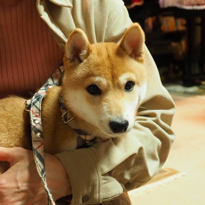 53b29962 d352 4c03 856c 9523853b5a36 1770885901774