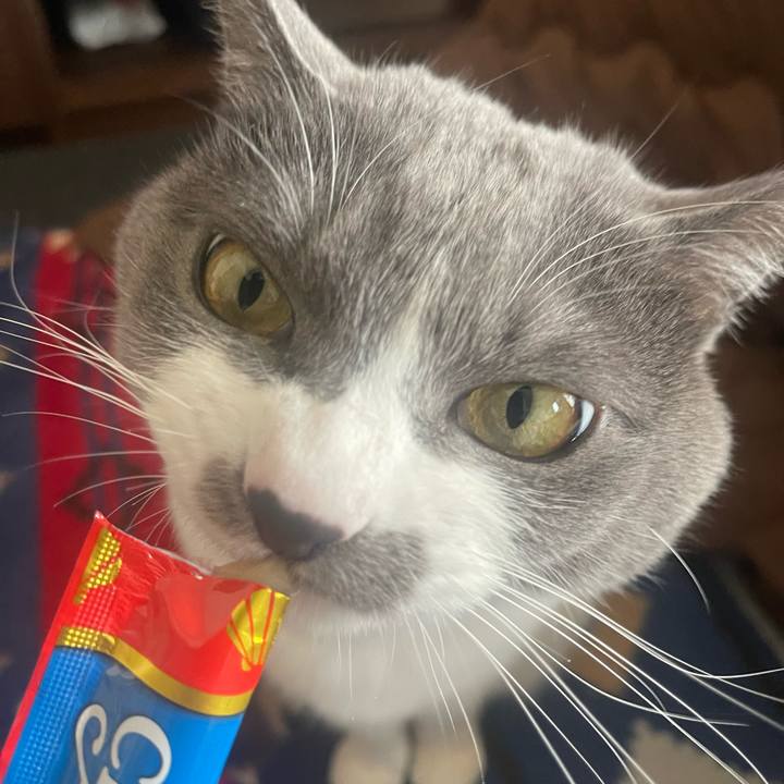 53b2a4fe a7aa 4578 8256 f66c9b61a7b5 1675492130642