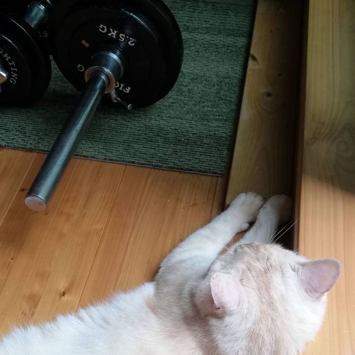 53b2e1ad fd4b 4cf1 9c0e 4a7e2306bdaf 1628479792185