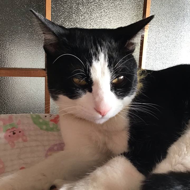 53b2f157 4526 4854 aca4 7d0c75c8ebb7 1645831509346