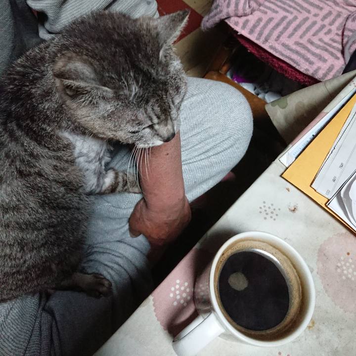 53b303c2 4237 4f9c ac06 92649b8129bd 1590436371245