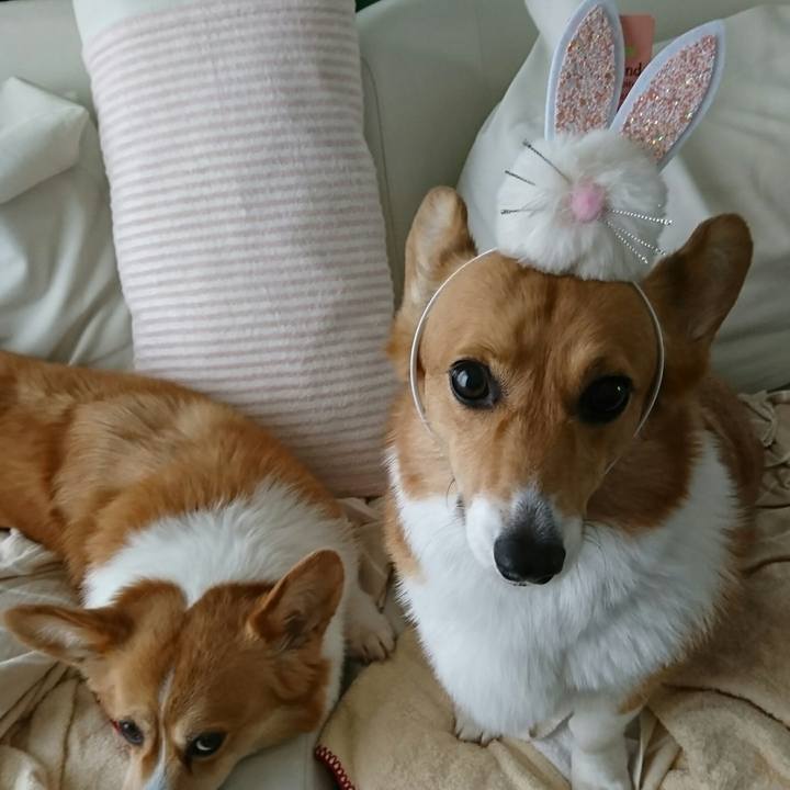 53b32478 531f 4904 a331 9a0f9d5f4dd8 1553294479160