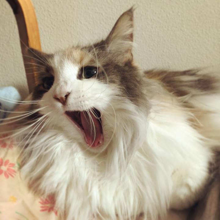 53b3544d b67f 45f6 980a 013cf8b307a1 1620026754467