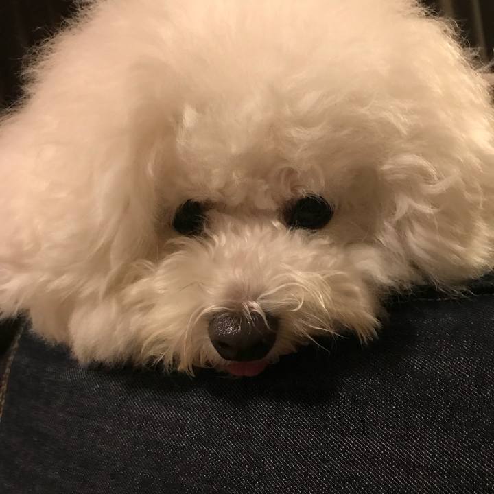 53b3d81c 4b48 4e0e b8d9 fdd811f33889 1539247710573