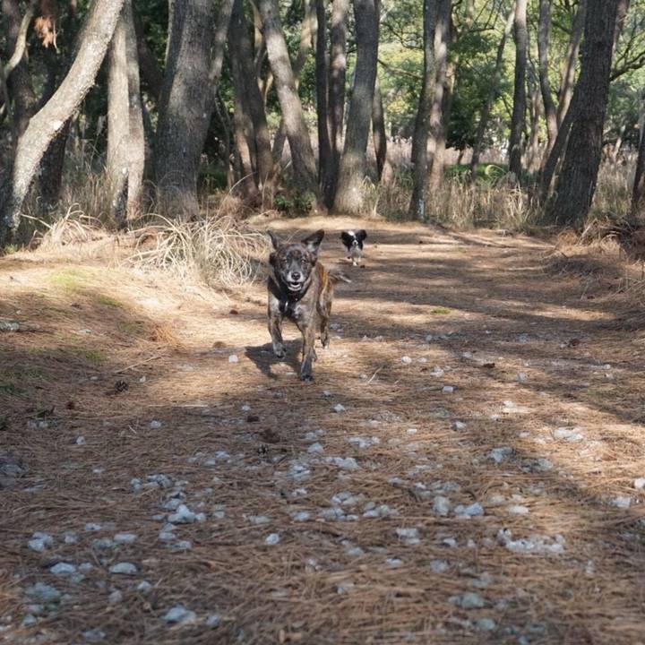 53b3e008 fdf2 4681 a9ba 963b599dc6ab 1552387219406