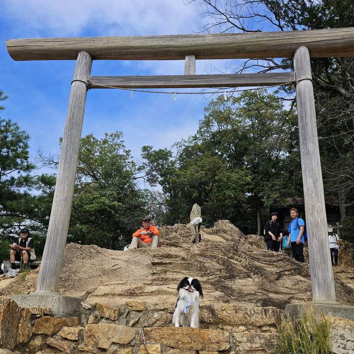 53b3f726 1907 4b40 a723 1e11e63e9672 1727778390244