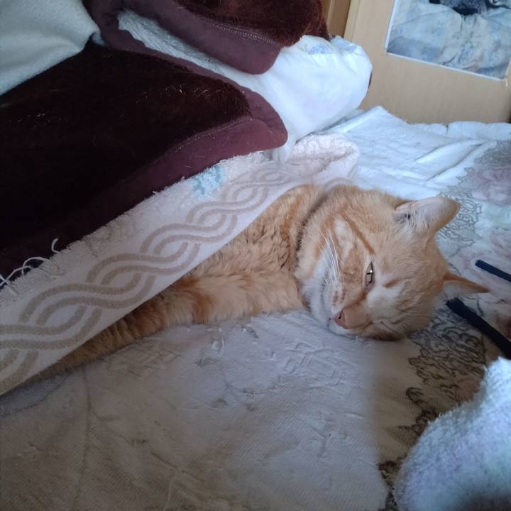 53b3fcc4 ba0a 41fc 9d74 bb7f69d16a45 1745221990177