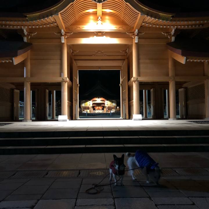 53b41990 141c 4435 92c4 9243bec98d3f 1580157460636