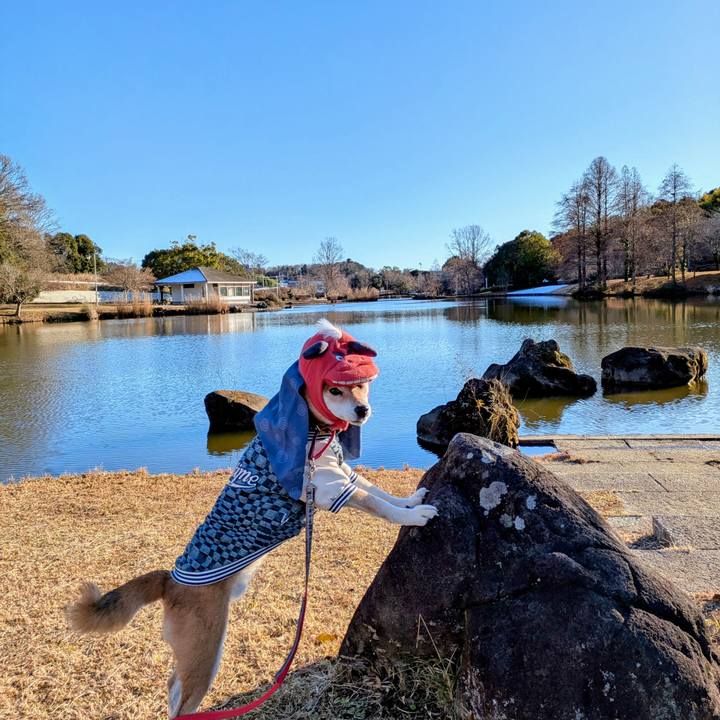 53b43951 becd 429f a400 bead63fb014c 1767426944982