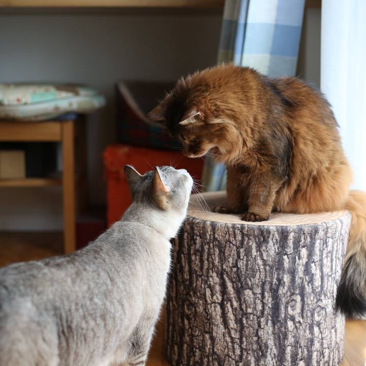 53b441c2 b926 4983 bca3 63f8747585f7 1716868044020