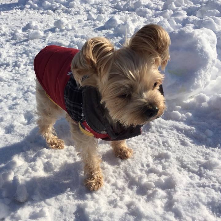 53b46dea 5b40 4677 9a13 ebc9d1567f22 1543565315440