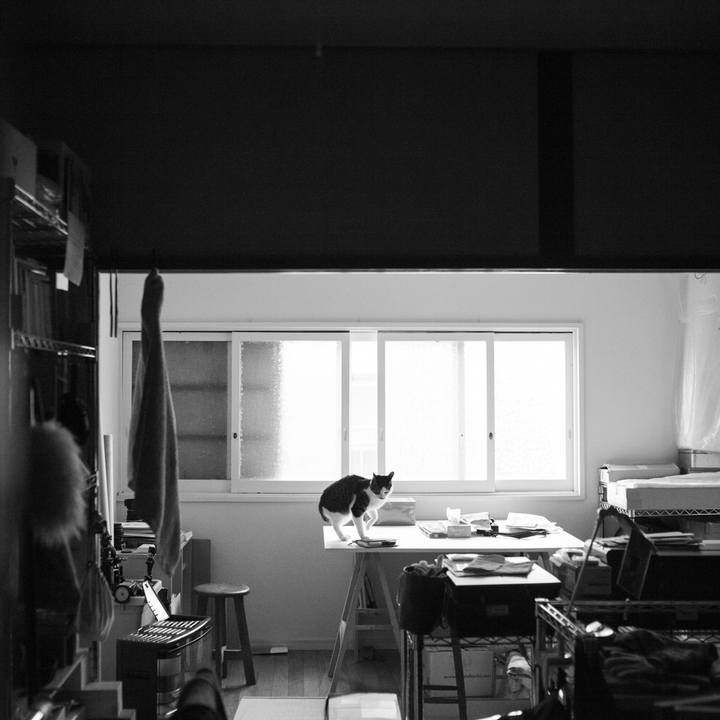 53b4918f bd40 4764 a08f cee83e080224 1548464514547