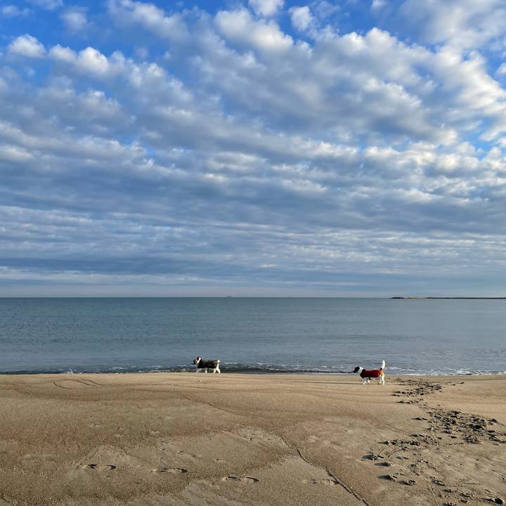 53b49446 5146 4e49 8f54 e1dd975a7d8d 1676158916021