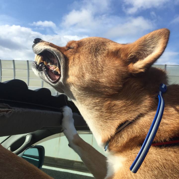 53b4b220 c70a 46a5 9e79 8b645f0a560d 1597312143304