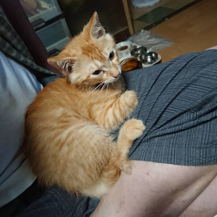 53b4c3da 16db 4f05 a057 b962dd942d28 1630286689150