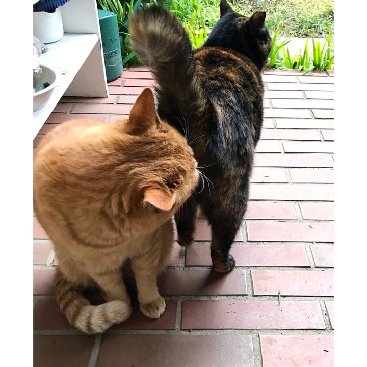 53b53a6a a8f0 49e6 84d3 72b8fa9acff9 1613785236813