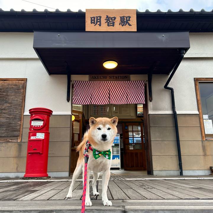 53b53c68 b638 403d 91a3 7885b9db6fef 1702370721200