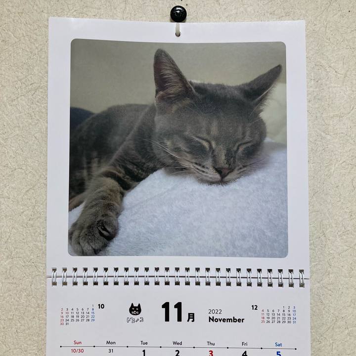 53b53e5c 87ac 4a0f 8c04 a00f052b7bd9 1667343530638