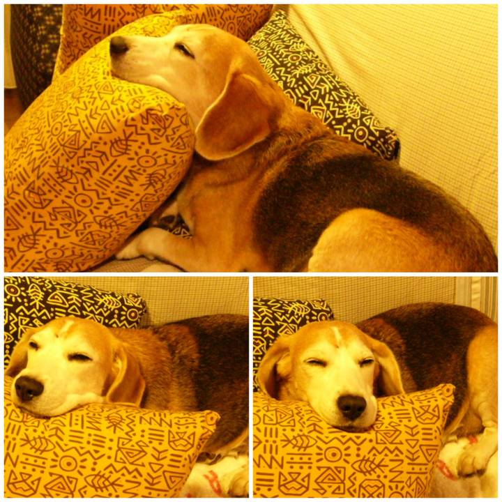 53b54d71 8fbe 47ef 83a2 a12103a7a1ae 1654648769886