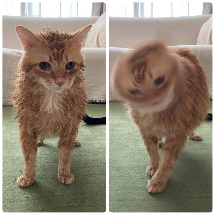 53b57e22 afaa 4070 bac2 226b268625c6 1772324899740