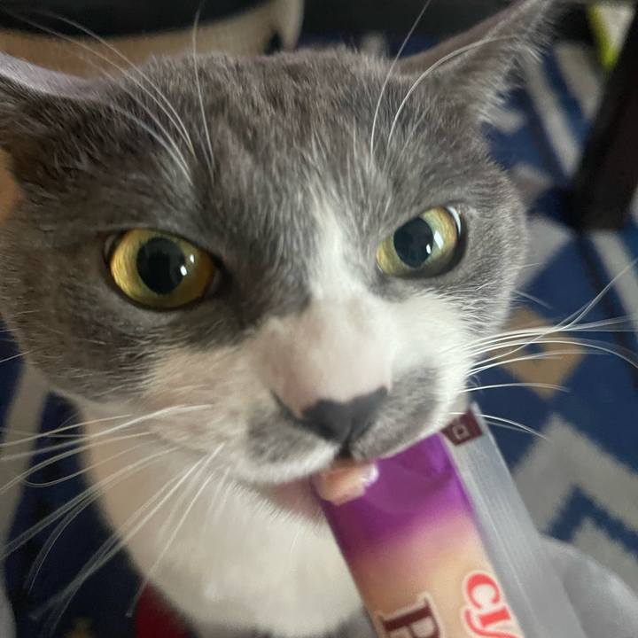 53b58105 6f8f 49e0 9e8a a3e6c7e63de7 1680078107802