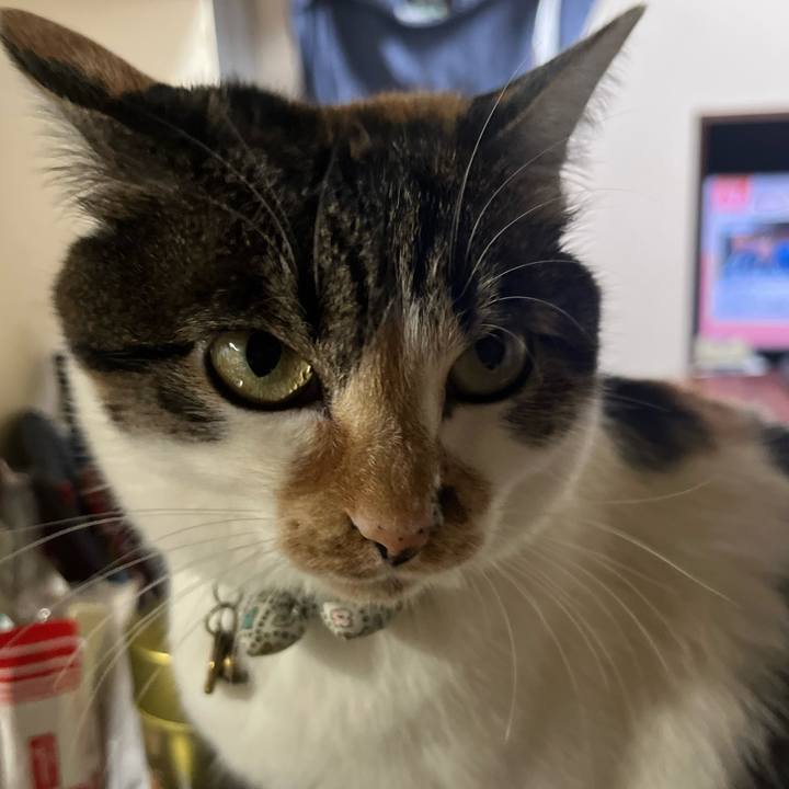 53b58625 89ac 43b2 ab17 f2bb19a73276 1767790944084