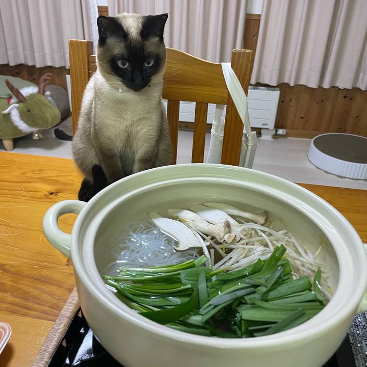 53b58da1 0f4e 4901 a82a cf151e8c9489 1737880964572