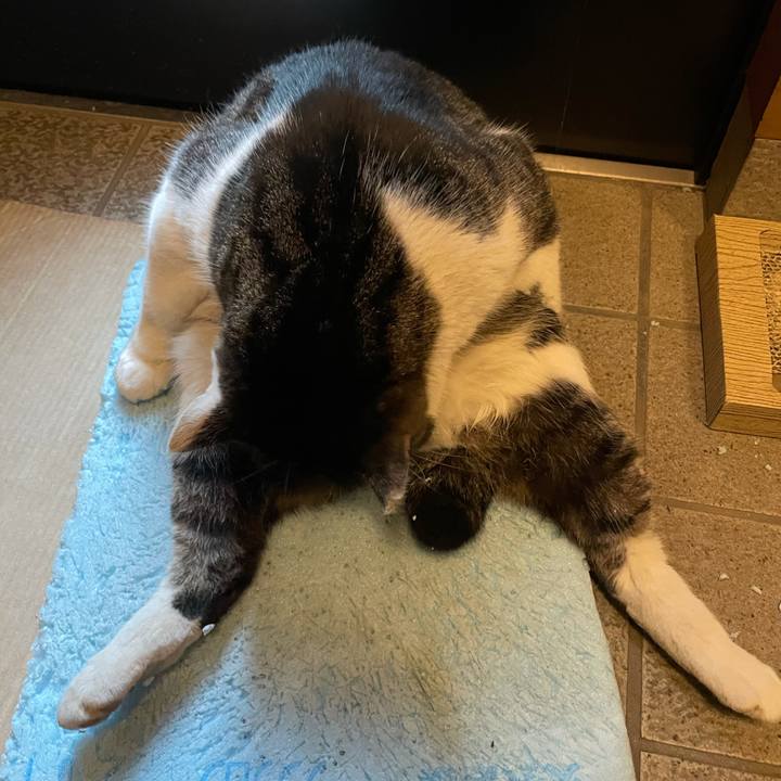 53b5978d bff2 4a34 abba 9961b94b458b 1611794381450