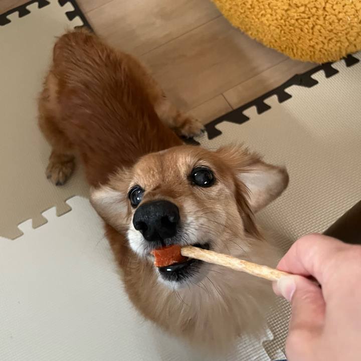 53b5f4e9 359b 430a 9dcb e1209d1f3503 1639139050428