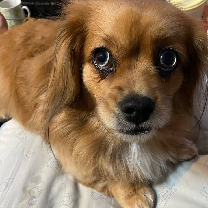 53b5f60a be79 415a 87cb 78379d11e1b9 1641333506823