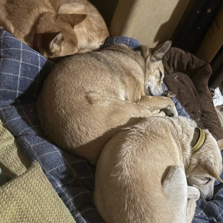 53b60a1c 37b4 4be1 aabb e2d047e0df39 1742115540621