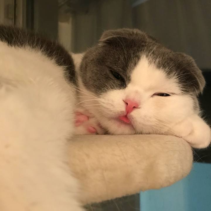 53b61782 1147 449e a00c 406d997f15b2 1524484872743