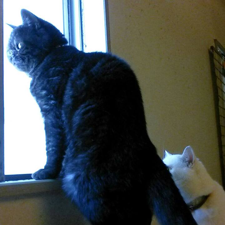 53b62258 46c6 42eb 8e75 98b22b99b432 1512181040256