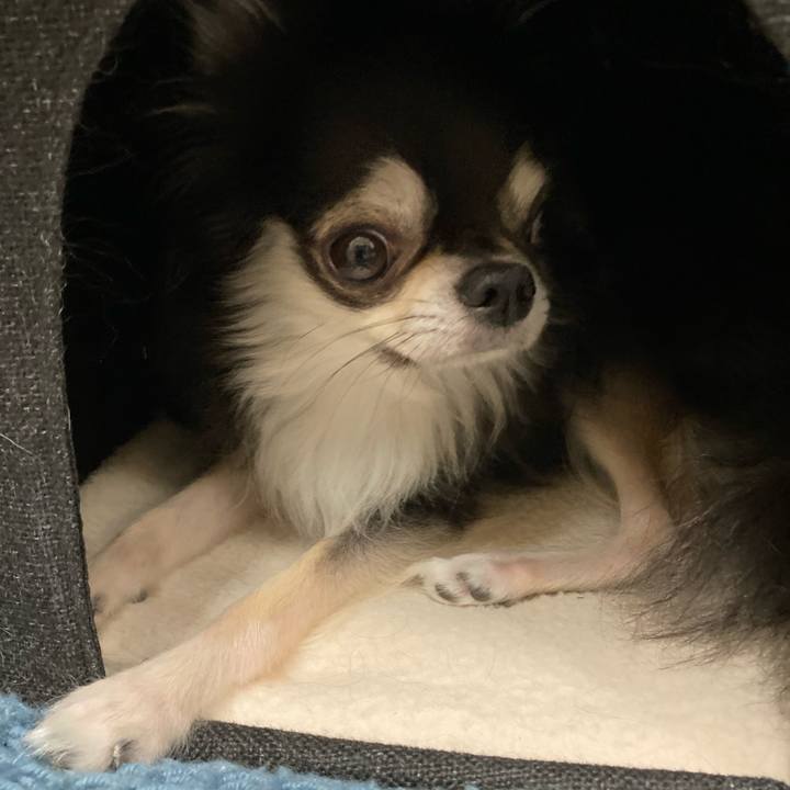 53b62a2d 3c67 4ae5 b212 321f59ab59ff 1664636691723