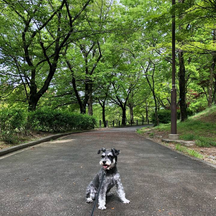 53b67076 74db 4351 94d0 aacf3392aeae 1713749716733