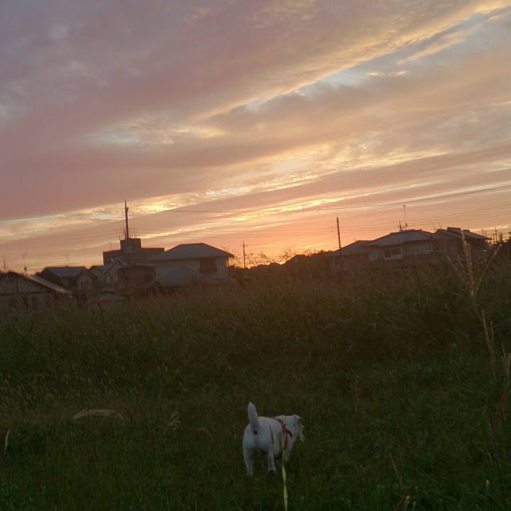 53b67808 d10e 46c0 babc 2d1068102bcf 1508798433038