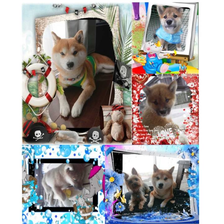 53b6aee2 8a4f 46c0 bc58 3f344bc0d080 1560006714041