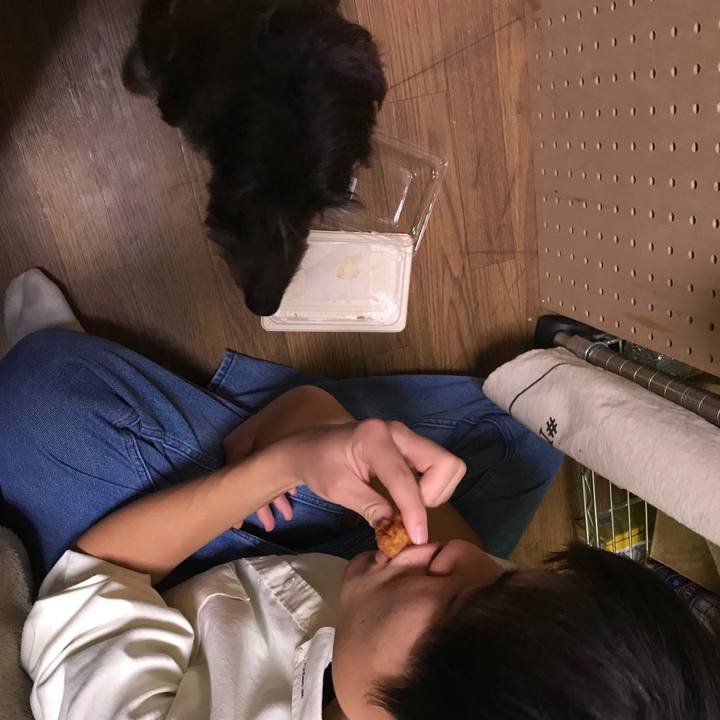 53b6d6df 0c32 4701 9038 59ccf4396f94 1544612429963