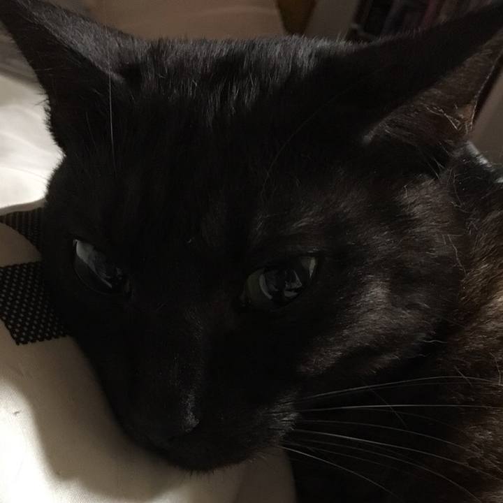 53b6e0f7 6521 45e1 9d56 a07592eec9f8 1543659757759