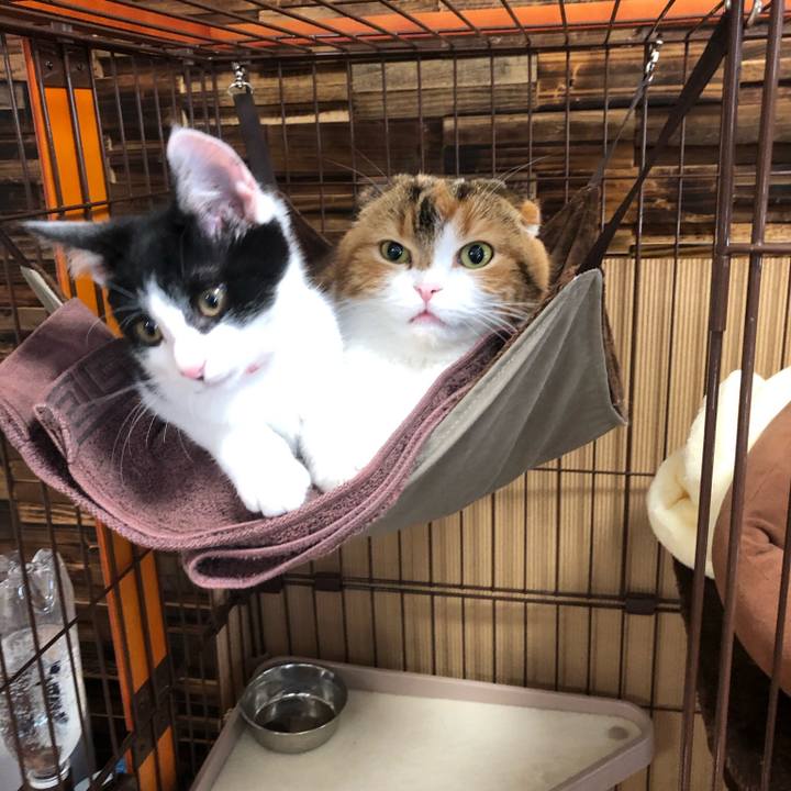 53b6e72b e10d 4d21 9cf3 c8631365b376 1611744048359