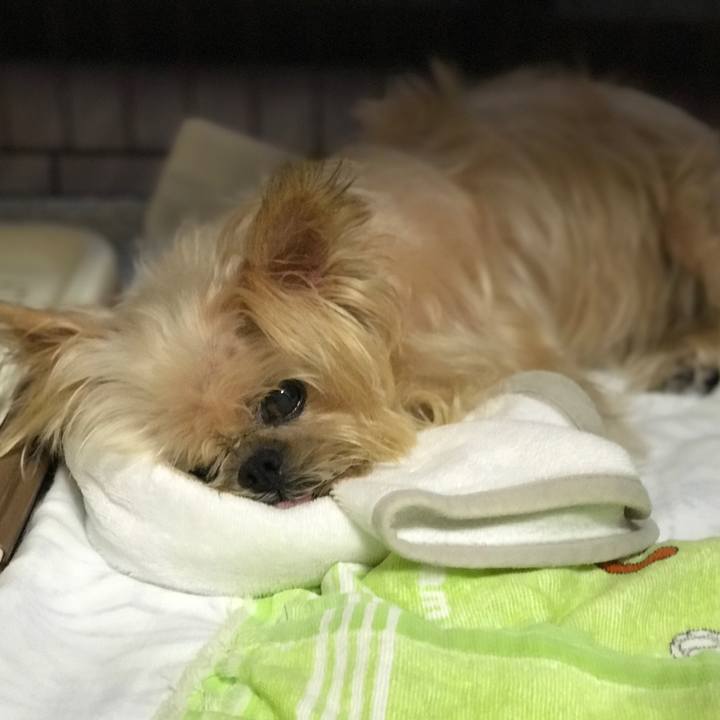 53b6f4ce c474 41b2 b00f dcaa907d646d 1598438161249