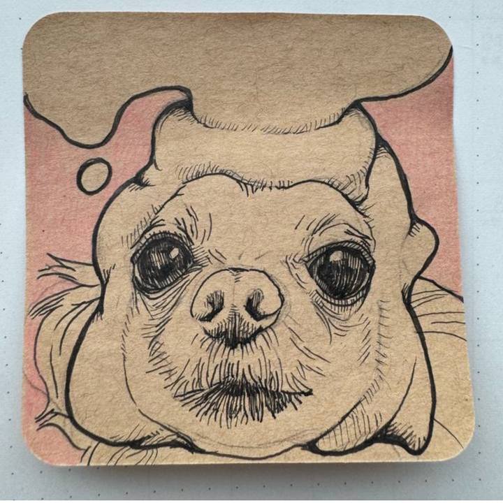 53b7075d dca6 4934 b49f dd1052c386b9 1703514428467