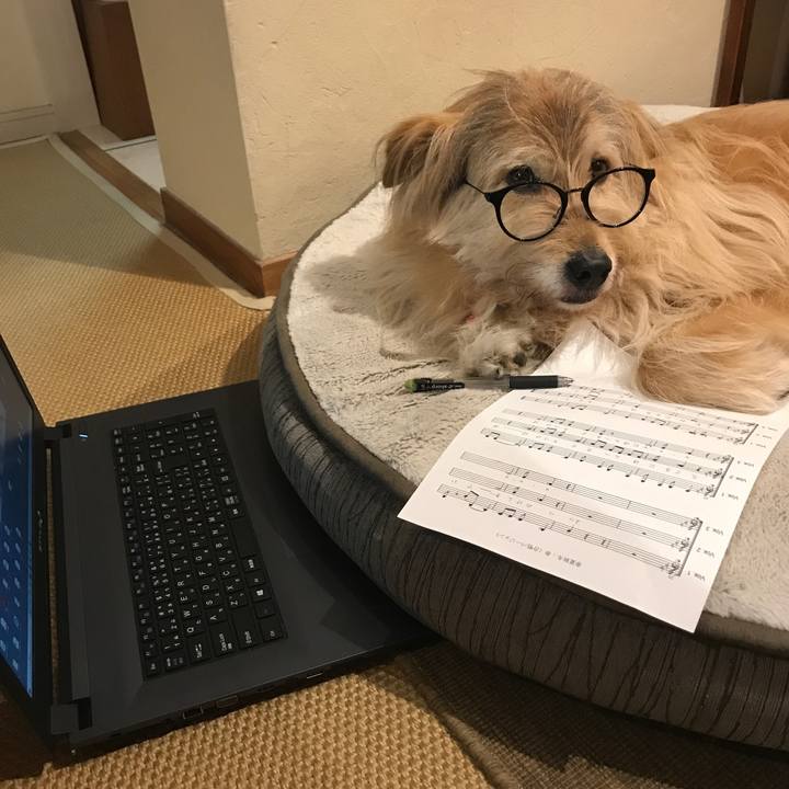 53b76fa4 3b85 4315 bce8 9196b01da44e 1590411764849