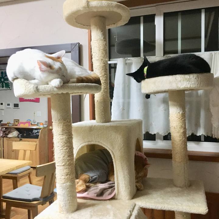 53b78278 0230 4587 a873 008c63350757 1527428809146