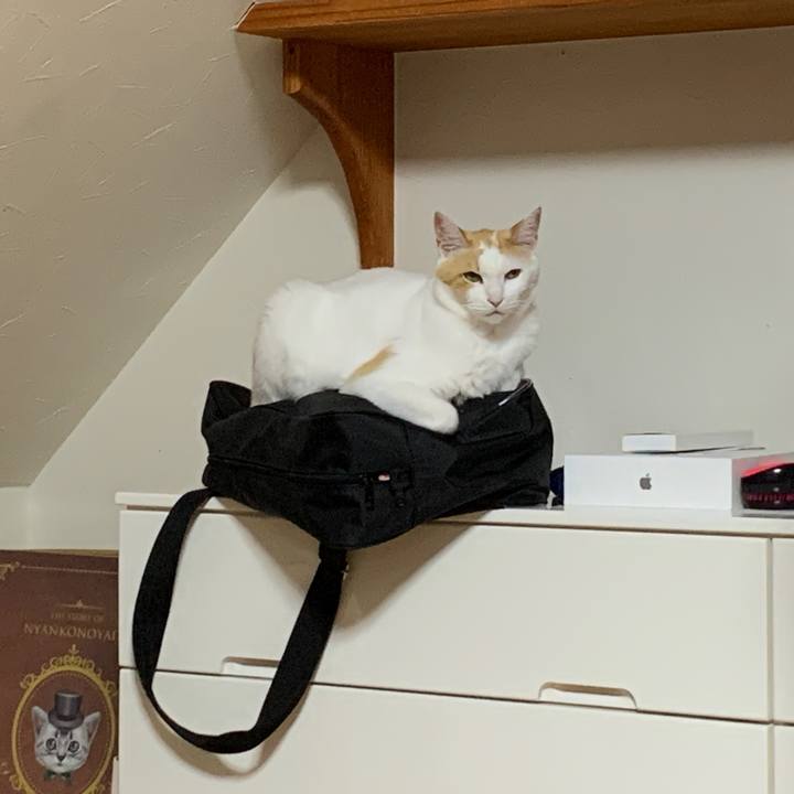 53b7a09a 2cf2 4efe 81b9 985be6525764 1651836041936